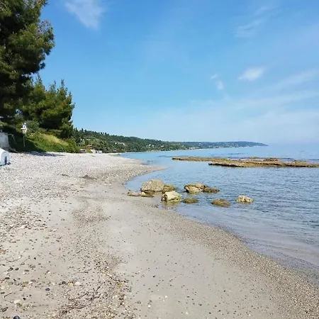 Mola Kassandra 1 *