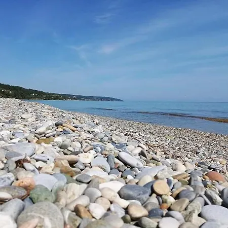 Mola Kassandra 1